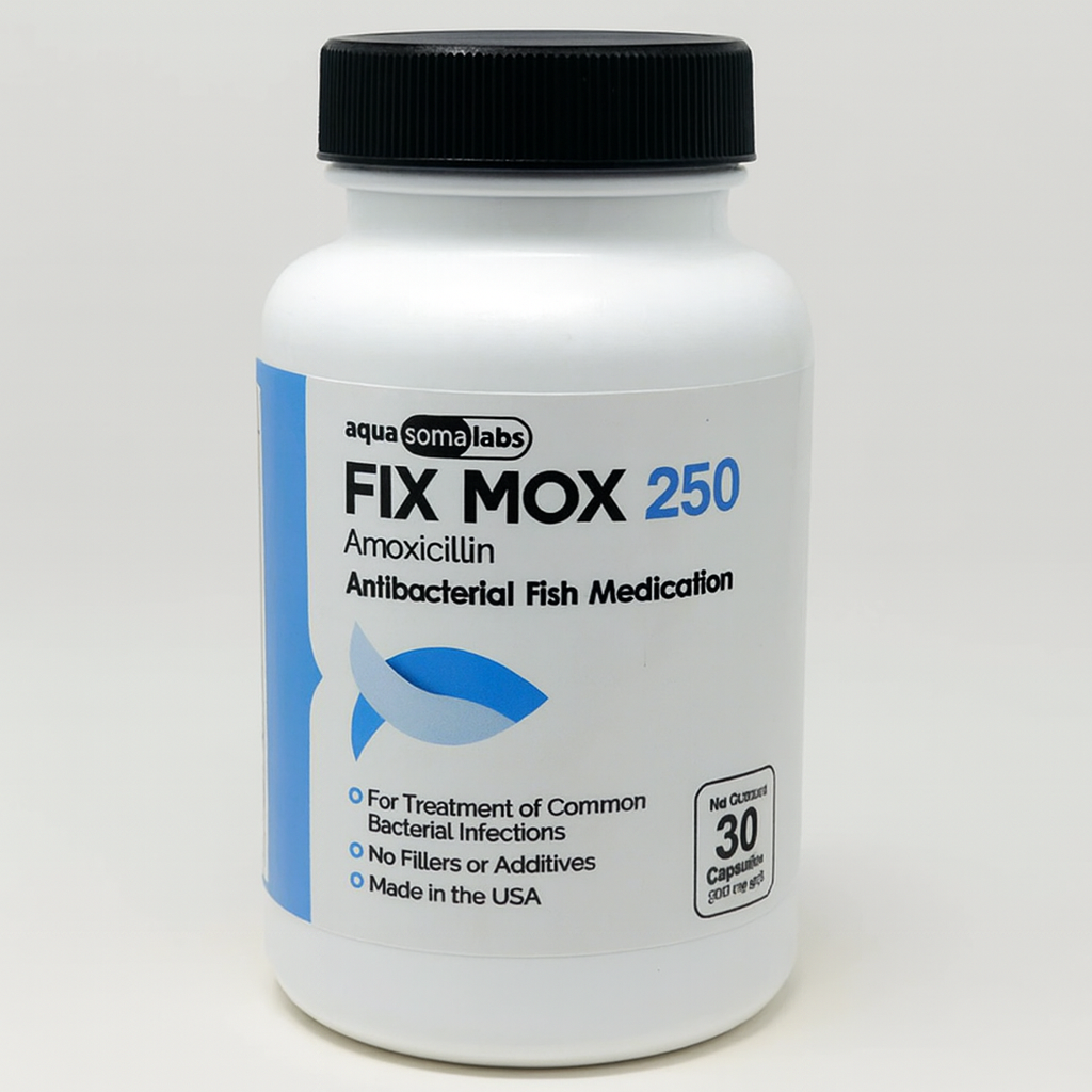 Fix Mox 250mg 30 Capsules