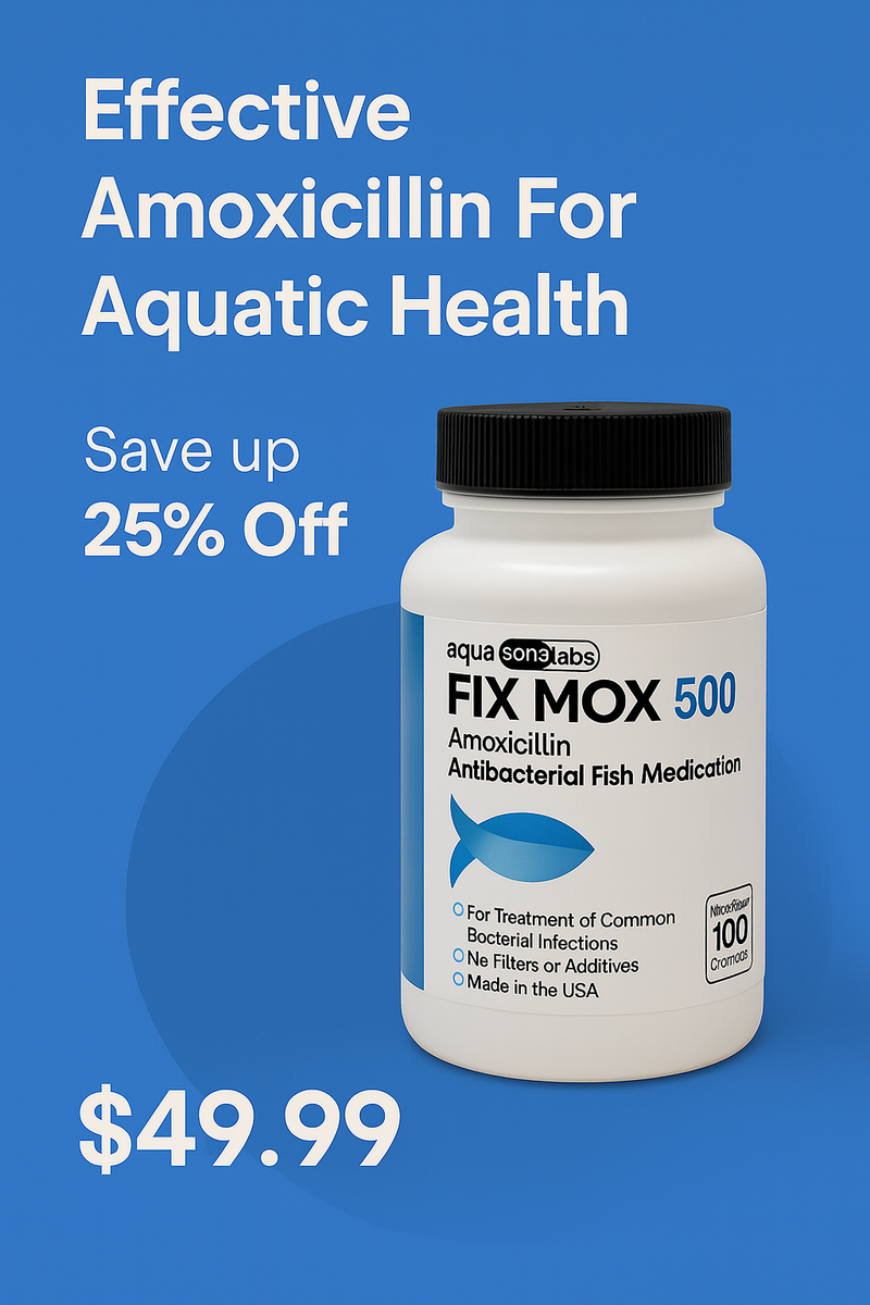 Fix Mox
