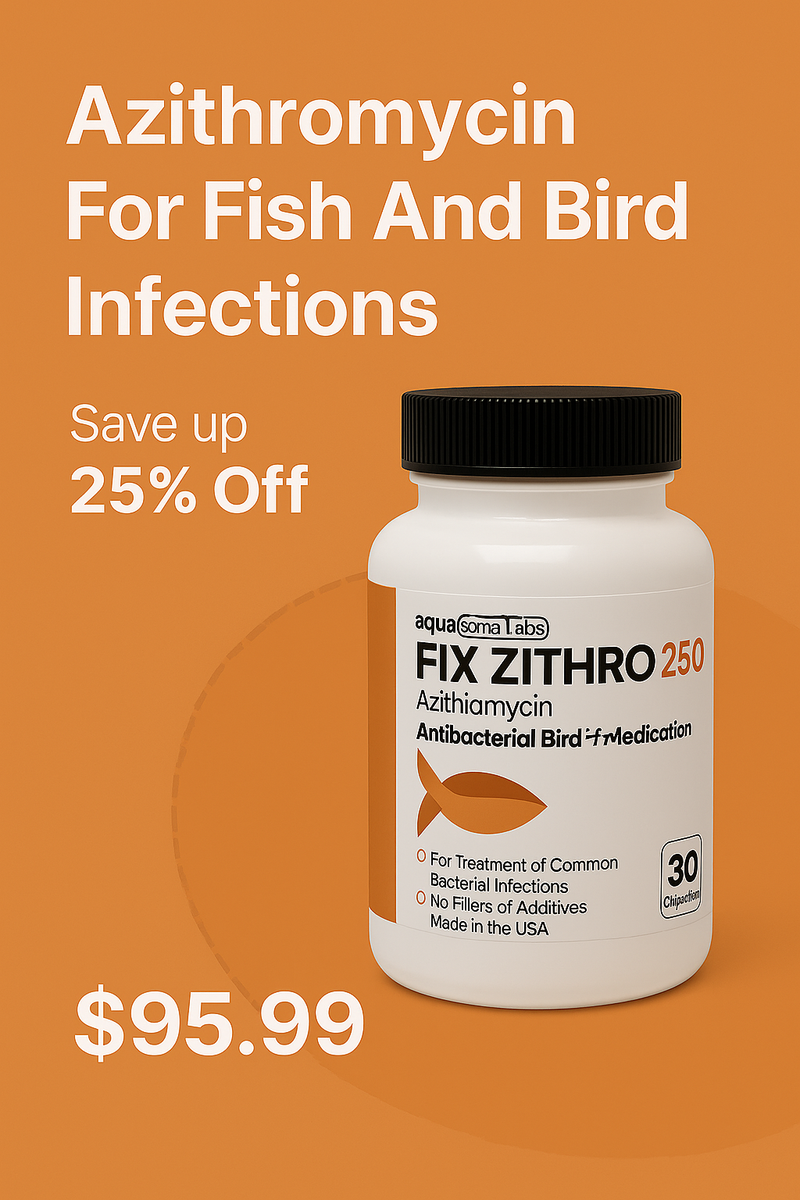 Fix Zithro