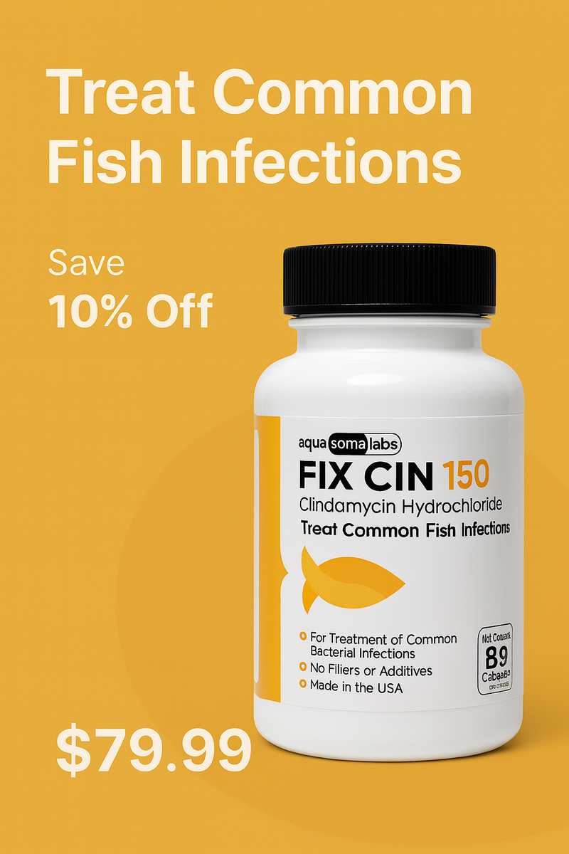 Fix Cin
