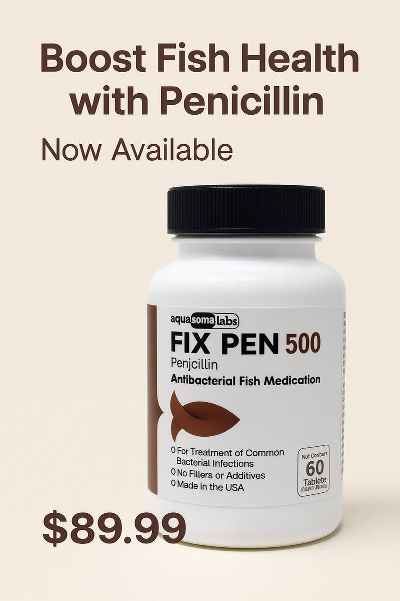 Fix Pen